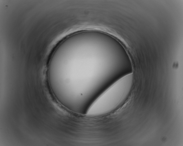 X0000101391507200807070953