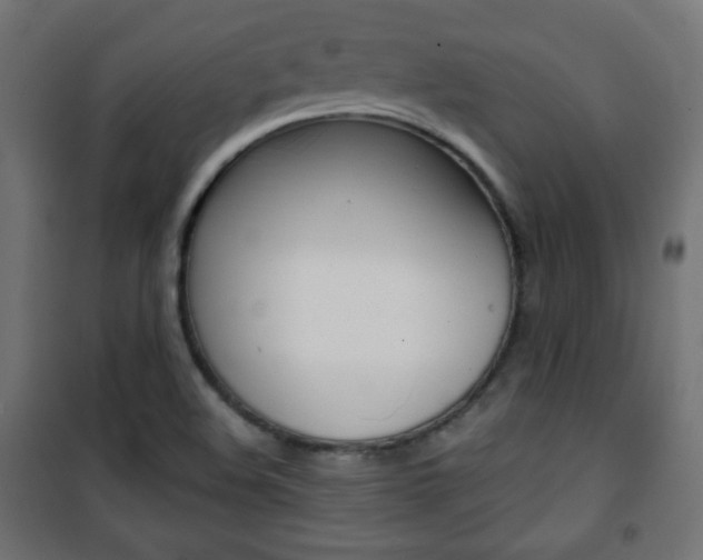 X0000101391508200807070953