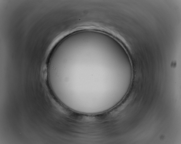 X0000101391509200807070953