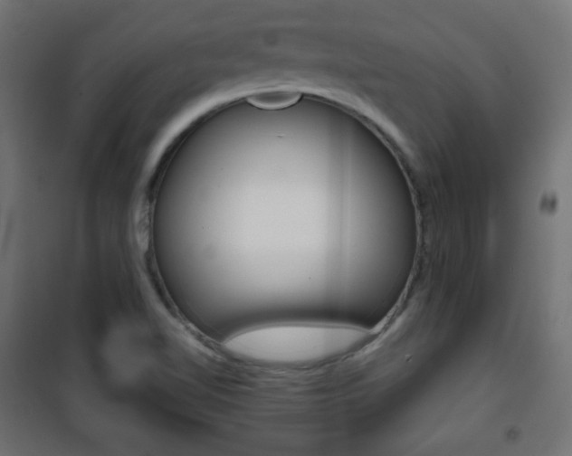 X0000101391510200807070953