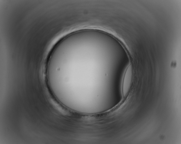 X0000101391511200807070953