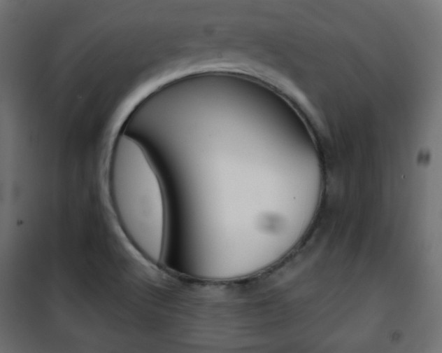 X0000101391512200807070953
