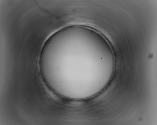 X0000101391513200807070953