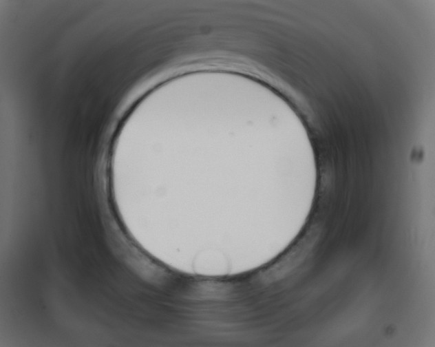 X0000101391514200807070953