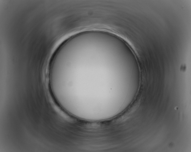 X0000101391515200807070953
