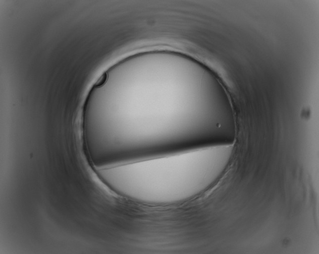 X0000101391516200807070953