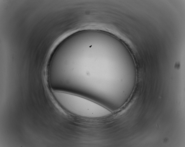 X0000101391517200807070953