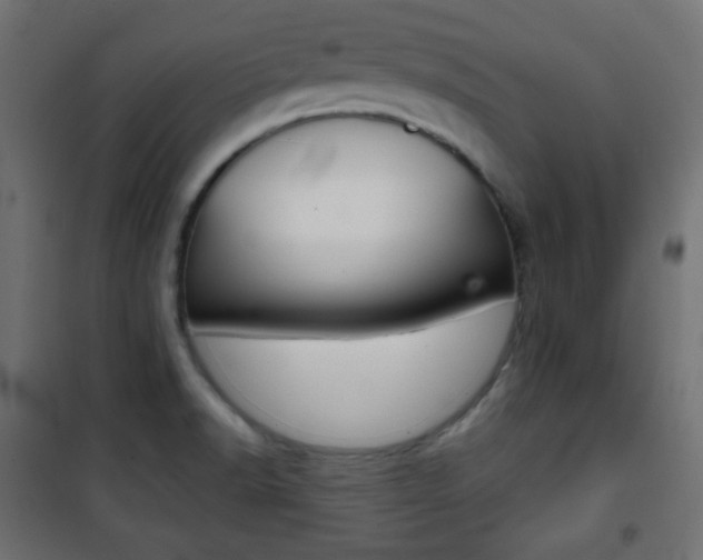X0000101391518200807070953