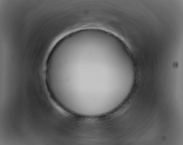 X0000101391519200807070953