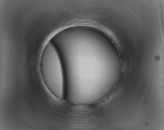 X0000101391520200807070953