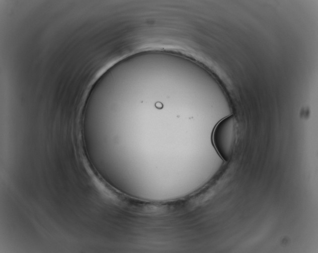 X0000101391521200807070953