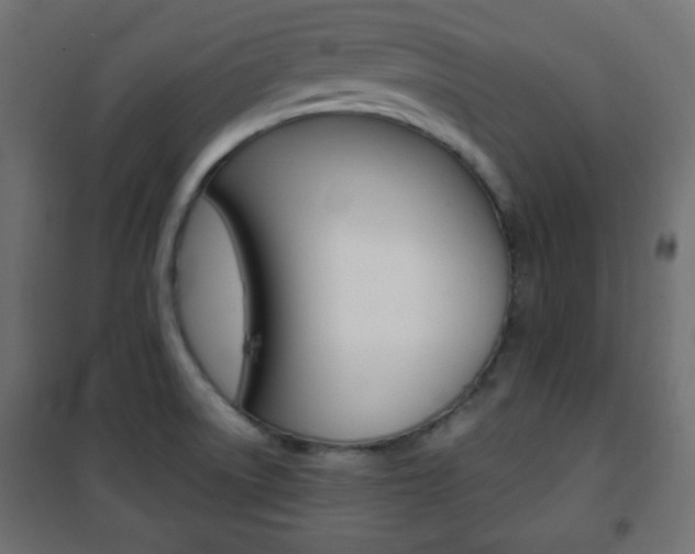 X0000101391522200807070953