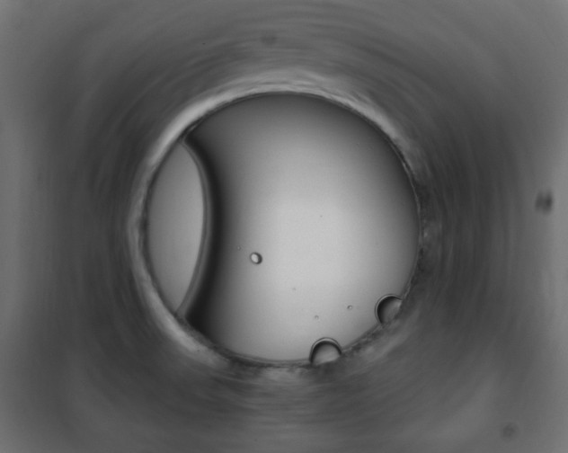 X0000101391523200807070953