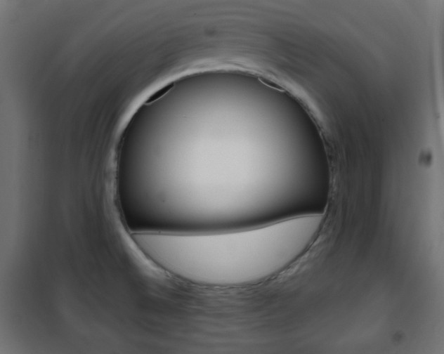 X0000101391524200807070953