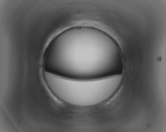 X0000101391525200807070953