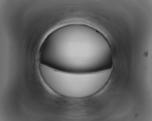 X0000101391526200807070953