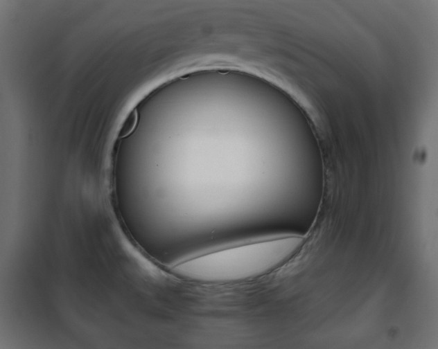 X0000101391527200807070953