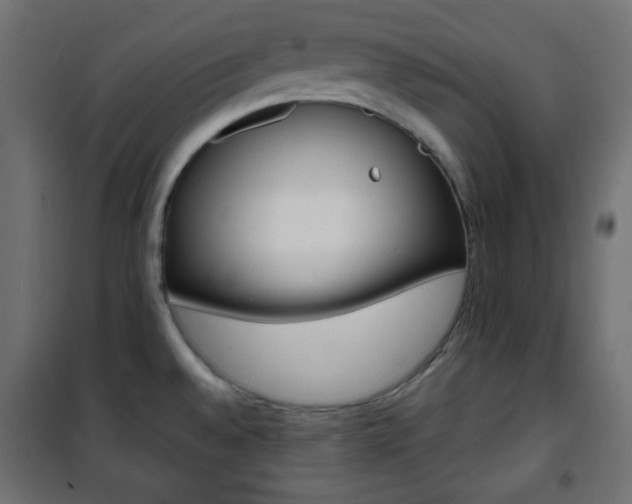 X0000101391528200807070953