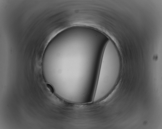 X0000101391529200807070953