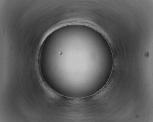 X0000101391530200807070953
