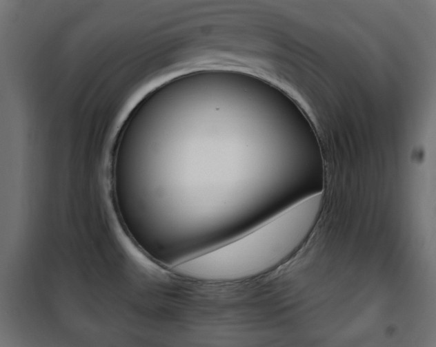 X0000101391531200807070953
