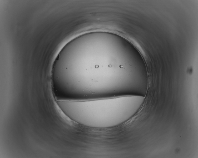 X0000101391532200807070953