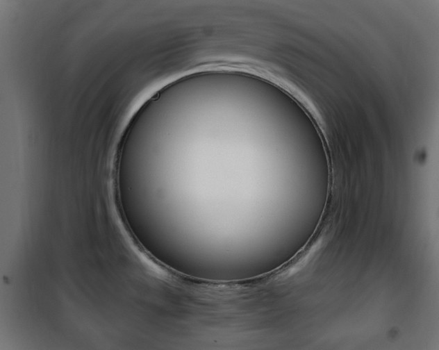 X0000101391533200807070953