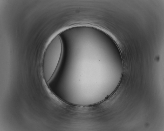 X0000101391534200807070953