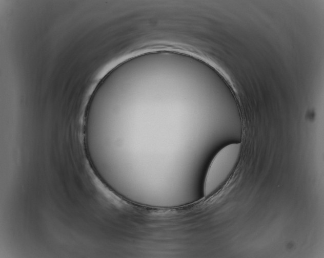 X0000101391535200807070953