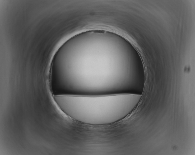 X0000101391536200807070953