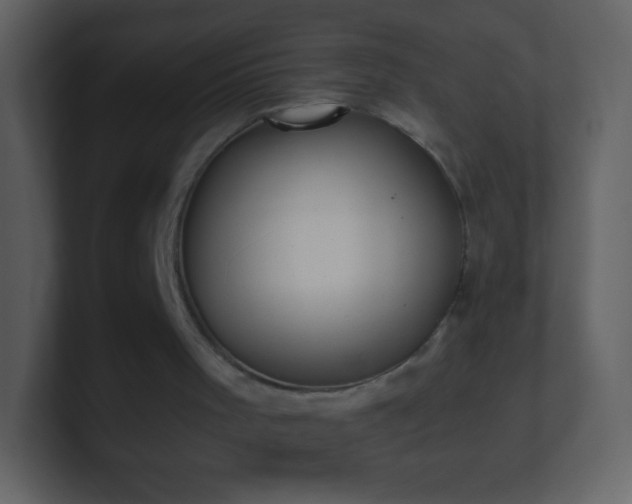 X0000101390001200807071207