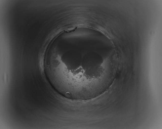 X0000101390002200807071207