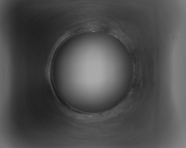 X0000101390003200807071207