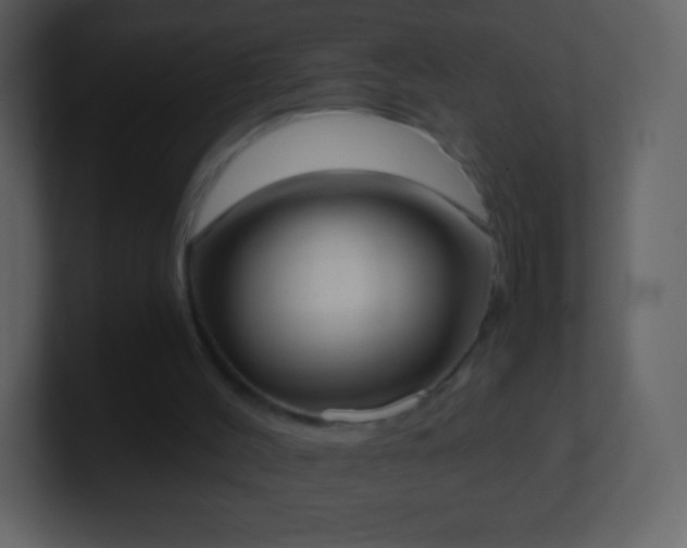 X0000101390004200807071207