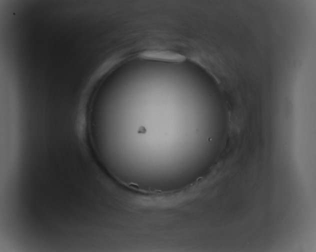 X0000101390005200807071207