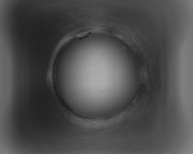 X0000101390006200807071207