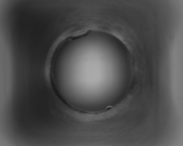 X0000101390007200807071207