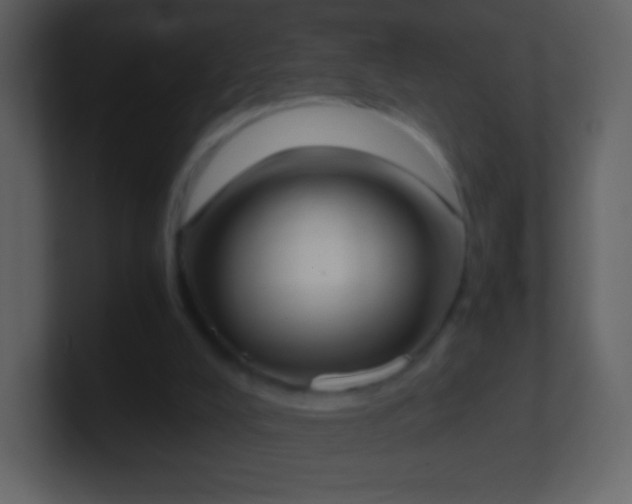 X0000101390008200807071207