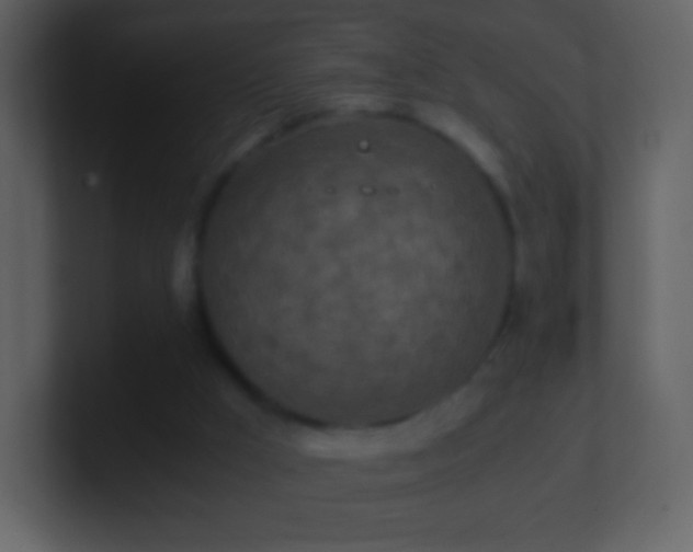 X0000101390009200807071207