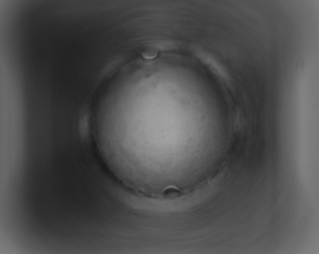 X0000101390010200807071207