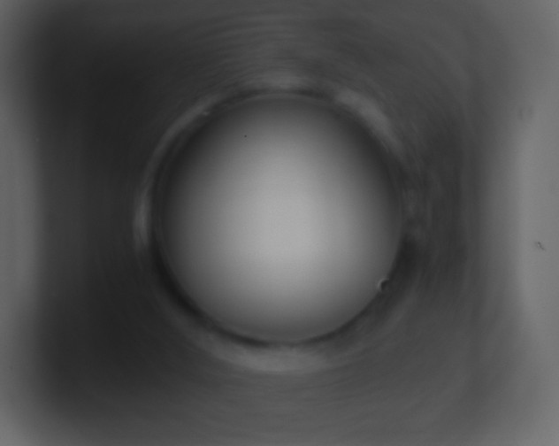 X0000101390012200807071207