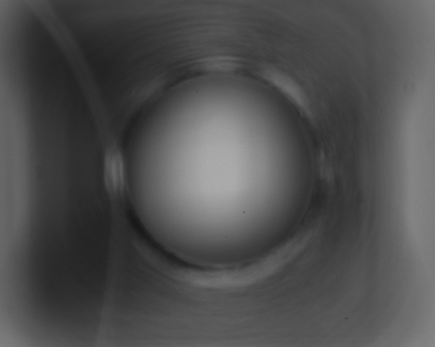 X0000101390013200807071207