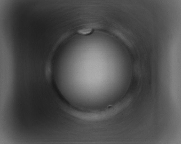 X0000101390015200807071207