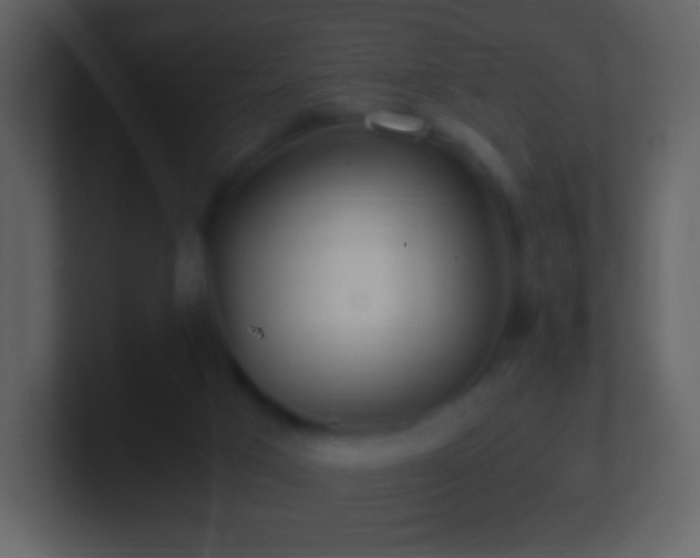 X0000101390017200807071207