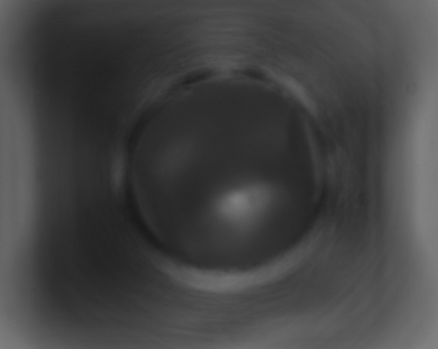 X0000101390018200807071207