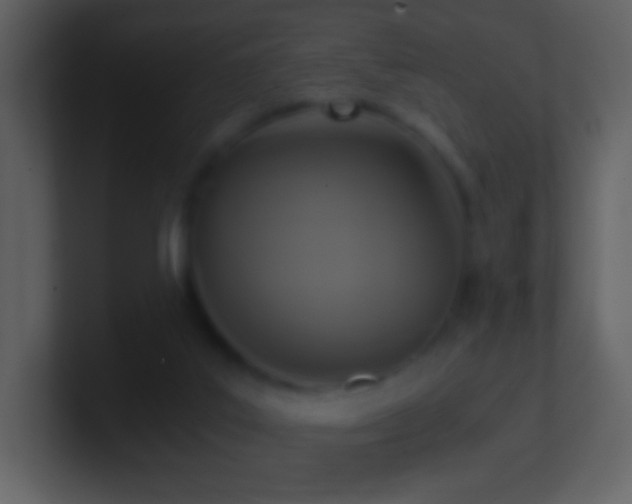 X0000101390019200807071207