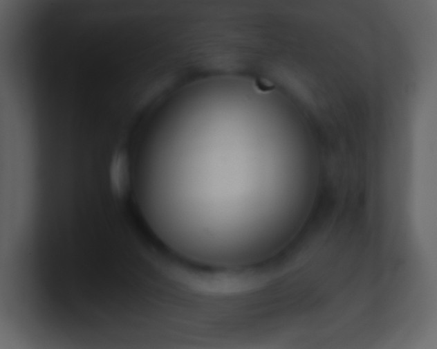 X0000101390020200807071207