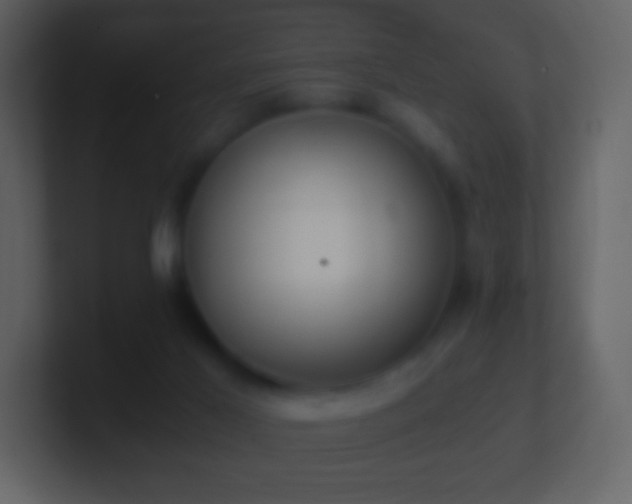 X0000101390021200807071207