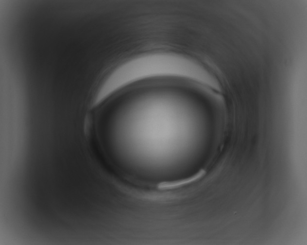 X0000101390024200807071207