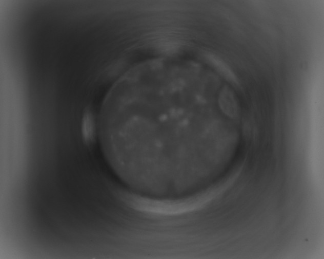 X0000101390026200807071207